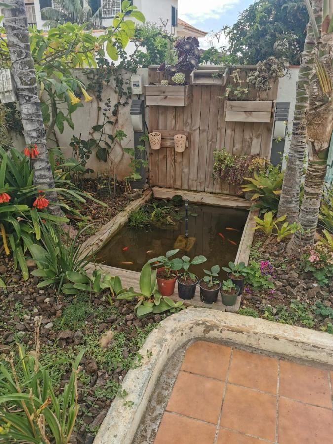 Ferienwohnung Jardin44 Santa Úrsula Exterior foto